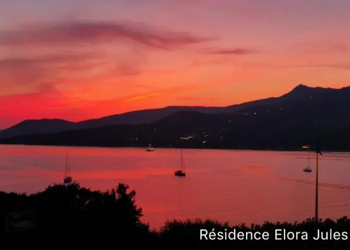 Grand T4 , Vue Magnifique A 50 M De La Propriano (Corsica)